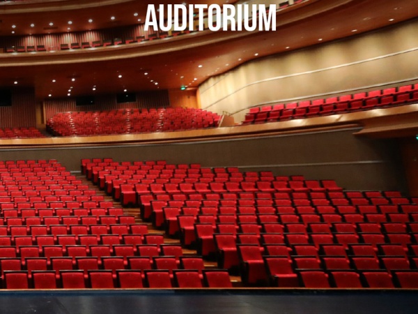 Gamma prodotto Audio Professionale