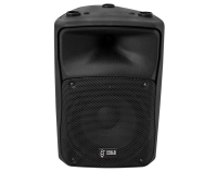 Live Passive Speaker