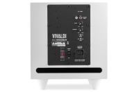 subwoofer di potenza amplificato