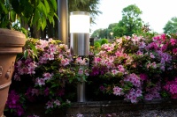 Sound, light and design for outdoor spaces